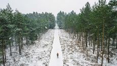 Cyclist cycling through a snow covered forest