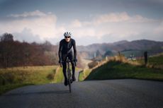 A cyclist riding through the seasons